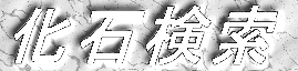 Ό