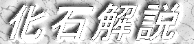 Ή