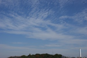 巻積雲（2008/10/29）